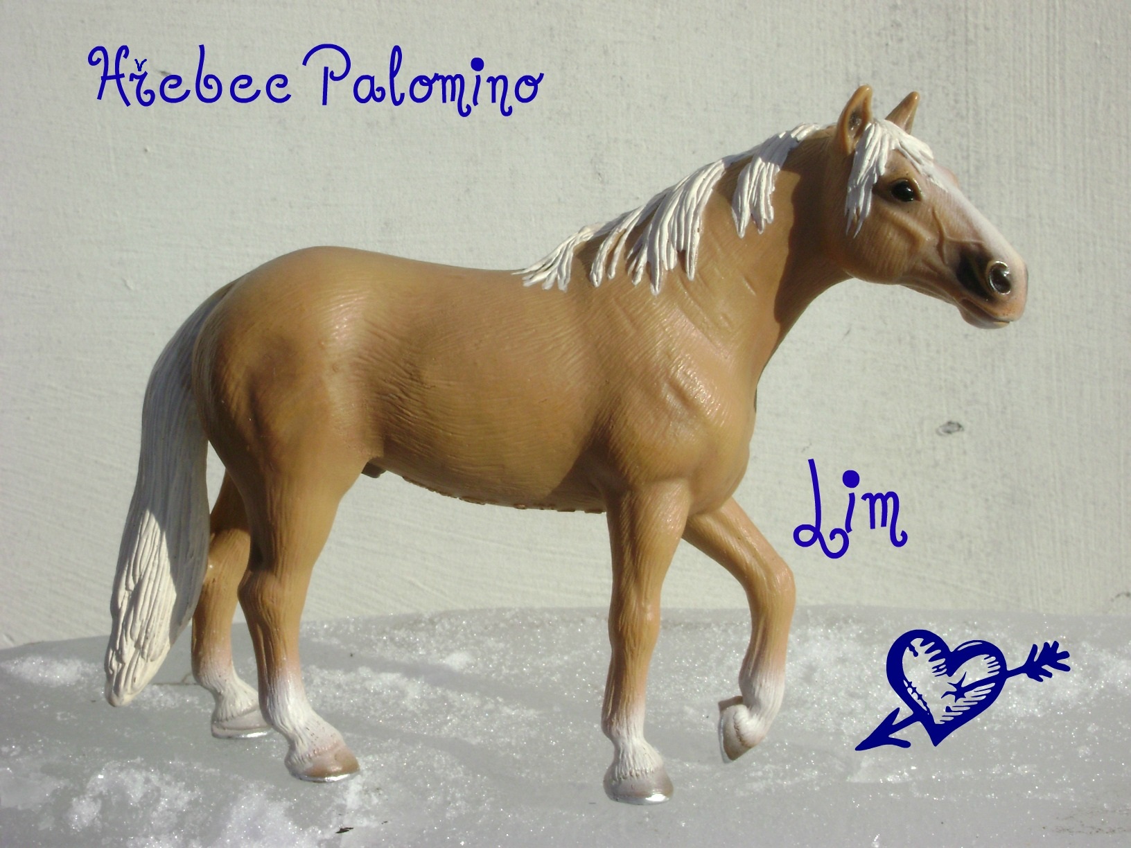 Hřebec Palomino